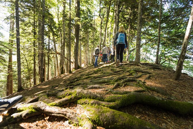 6 Day Tour - Trekking, Rafting, Jeep safari and Canyoning - Guides, meals, and the feel of the camp