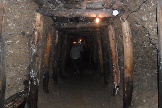 BOSNIAN PYRAMIDS TOUR (nature, history & archeology) - The archaeological park from 11:30 to noon