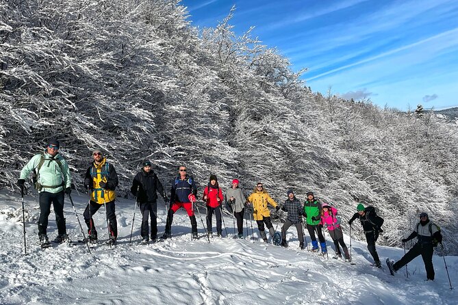 Experience Snowshoeing in Olympic Mountain Bjelašnica - Following the Kolijevka trail toward Heliodrom