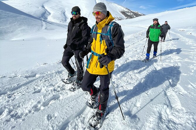Experience Snowshoeing in Olympic Mountain Bjelašnica - What the $95.31 price covers