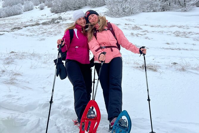 Experience Snowshoeing in Olympic Mountain Bjelašnica - Who will enjoy this Bjelašnica outing?