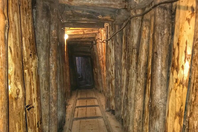 Fall of Yugoslavia, Sarajevo War Tour with Tunnel of Hope Museum and Frontlines - Gavrilo Princip and the older roots of conflict