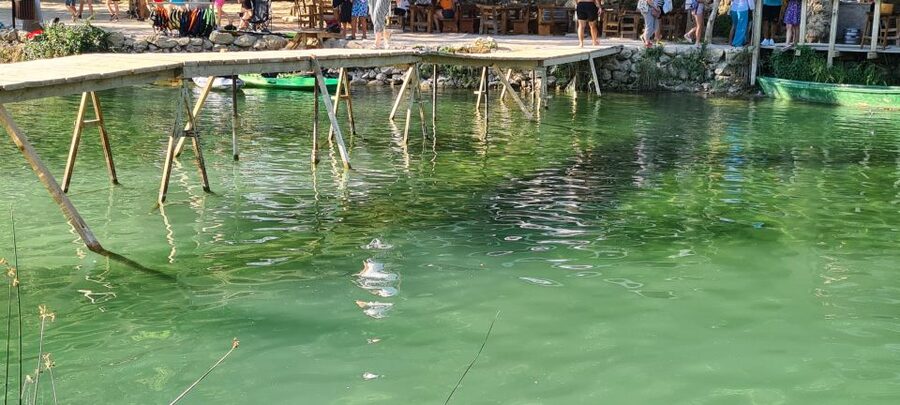 From Dubrovnik: Mostar and Kravica Waterfall Day Trip - Should you book the Mostar and Kravica tour?
