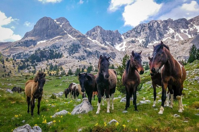 Hiking between Bosnia and Herzegovina - Key points to know before booking