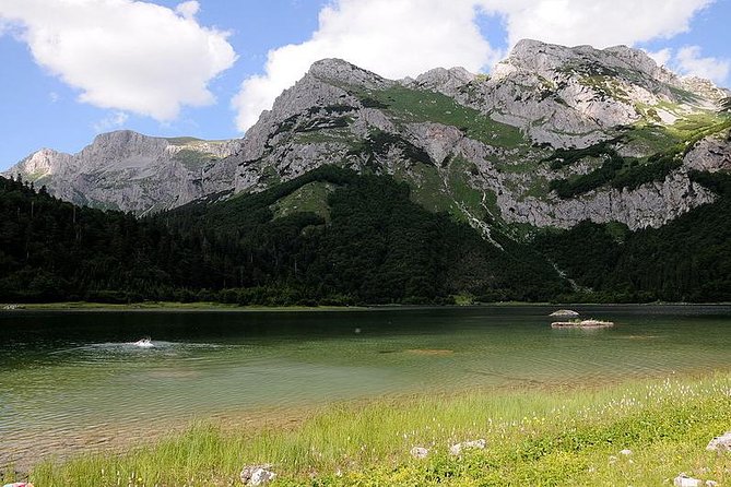 Mystical Sutjeska National Park - Perućica Forest and the value of protected nature