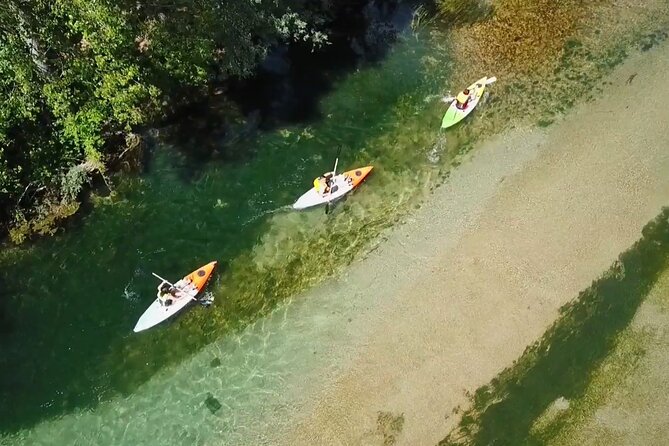 Safari kayak adventure w BBQ & Beer - Key points to know before booking