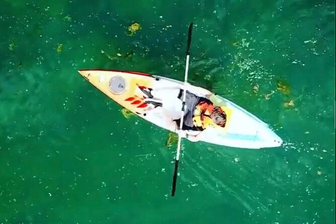 Safari kayak adventure w BBQ & Beer - Paddling the calm, clear Bunica River