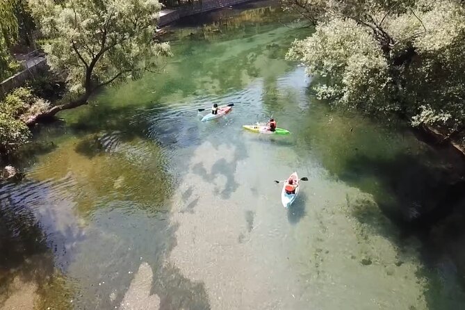 Safari kayak adventure w BBQ & Beer - Alem’s role in the day