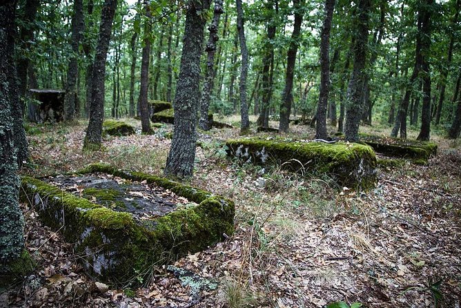 Sarajevo to/from Belgrade UNESCO Transfer Day Tour (Fees Incl.) - Dobrun Monastery and Serbian Orthodox art