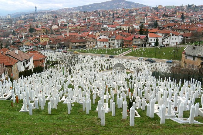 Times of Misfortune - Life Under Siege and the Tunnel of Hope - Olympic Sarajevo at Asim Ferhatović Hase Stadium
