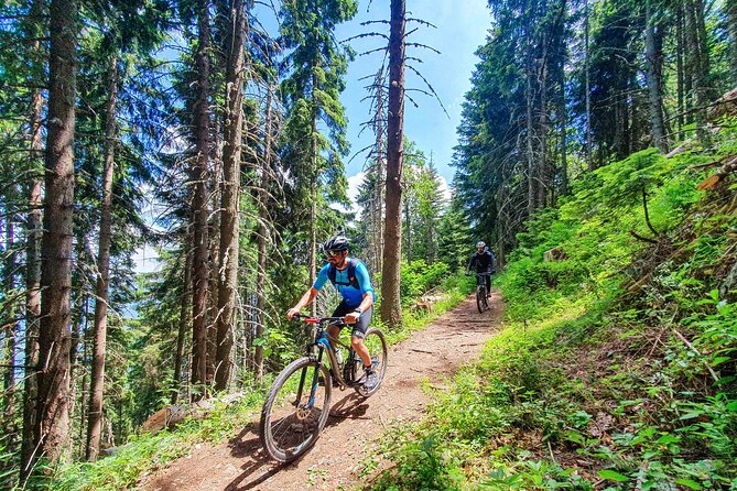 Trebevic Mountain Biking Tour from Sarajevo - Bobsleigh Track - What the small group changes